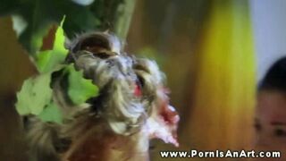 Kettő forró szuka nyaldosja a punciját a szabadban